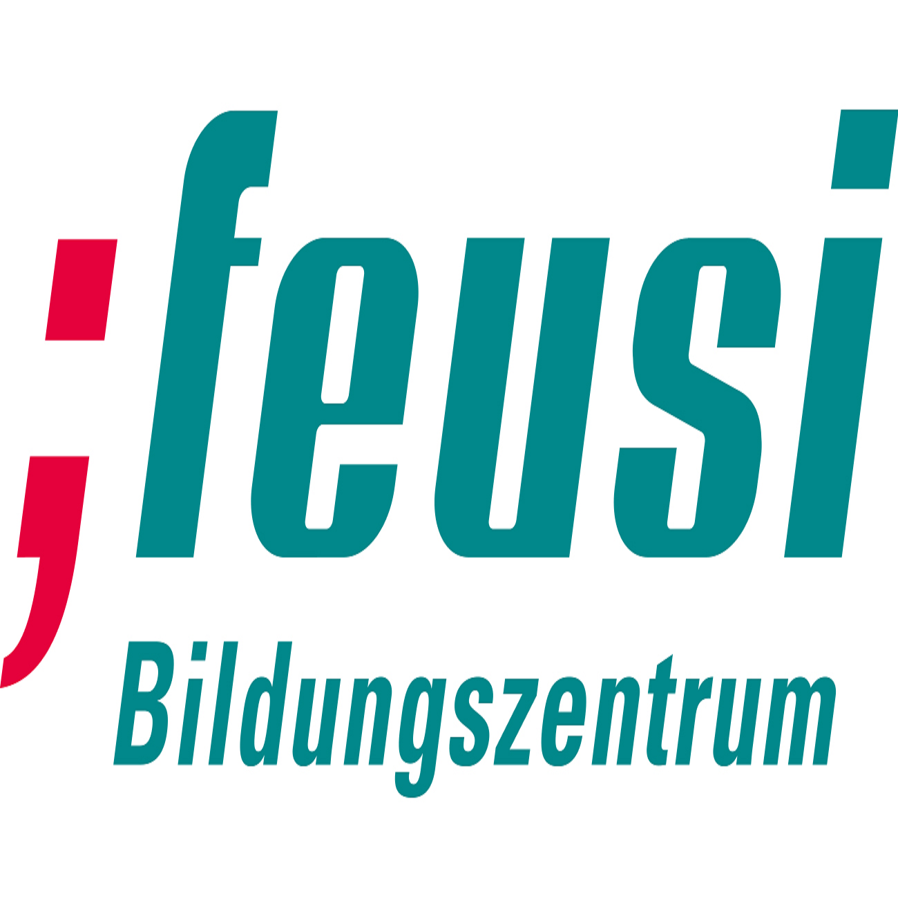 feusi logo